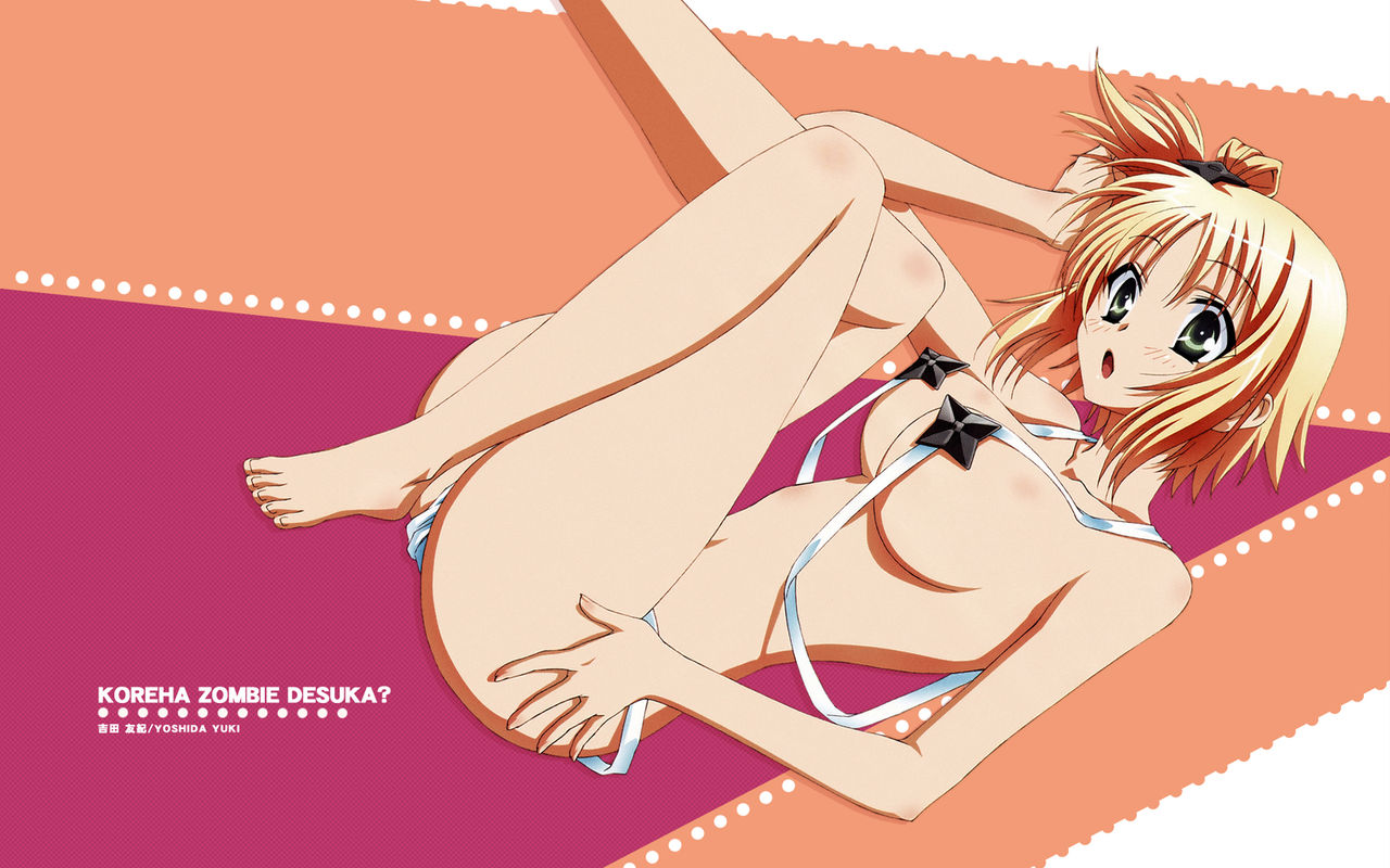 Kore wa Zombie Desuka?! page 4 full