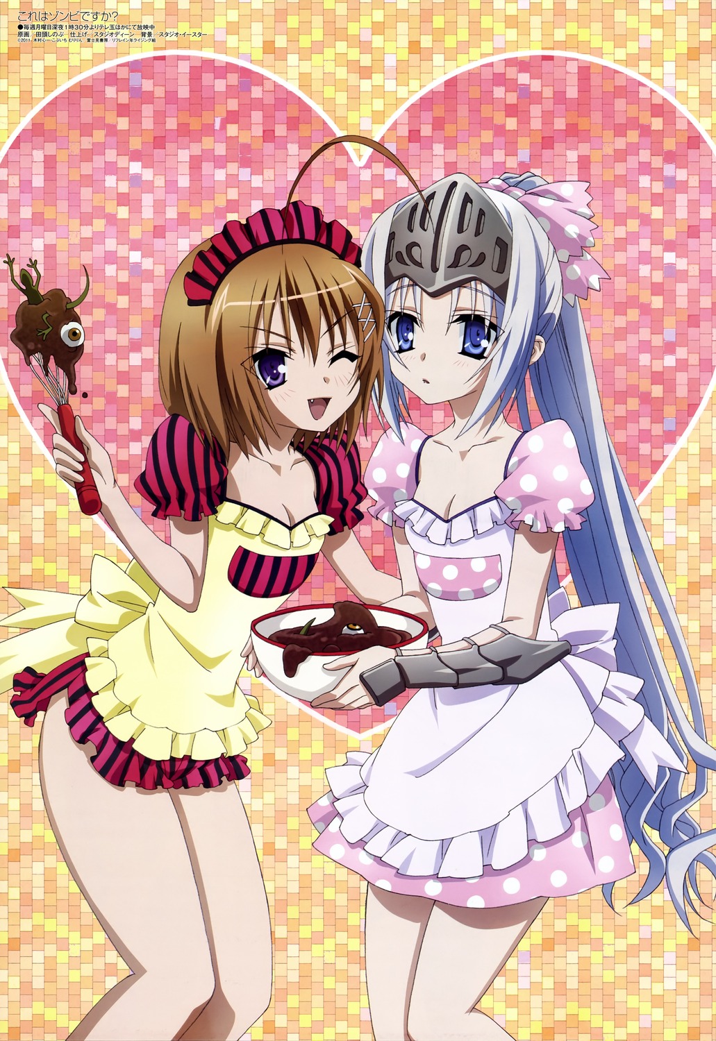 Kore wa Zombie Desuka?! page 9 full