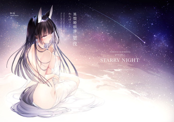Irui Konintan Seiya cover