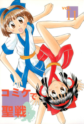 Comiket de Seisen Vol.11 cover
