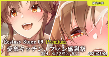 Ecstasy Stage 09 Premium Airi Kitchen, Fan Kanshasai cover