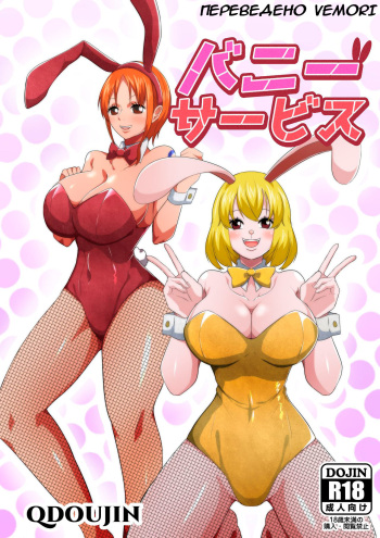 Bunny Service cover