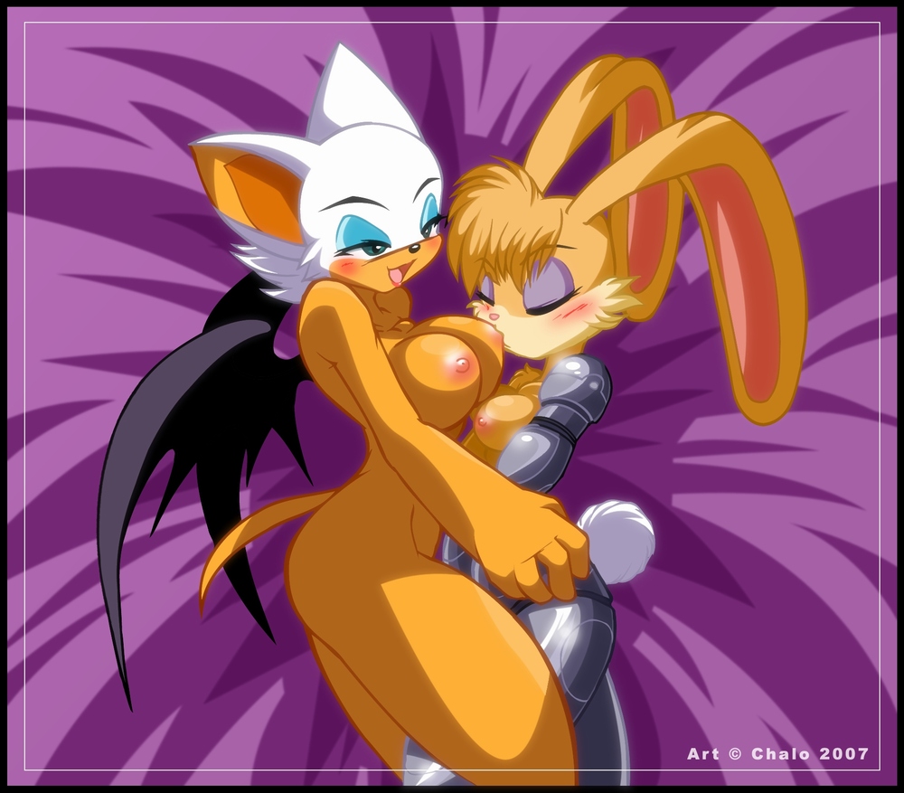 Rouge the Bat page 3 full