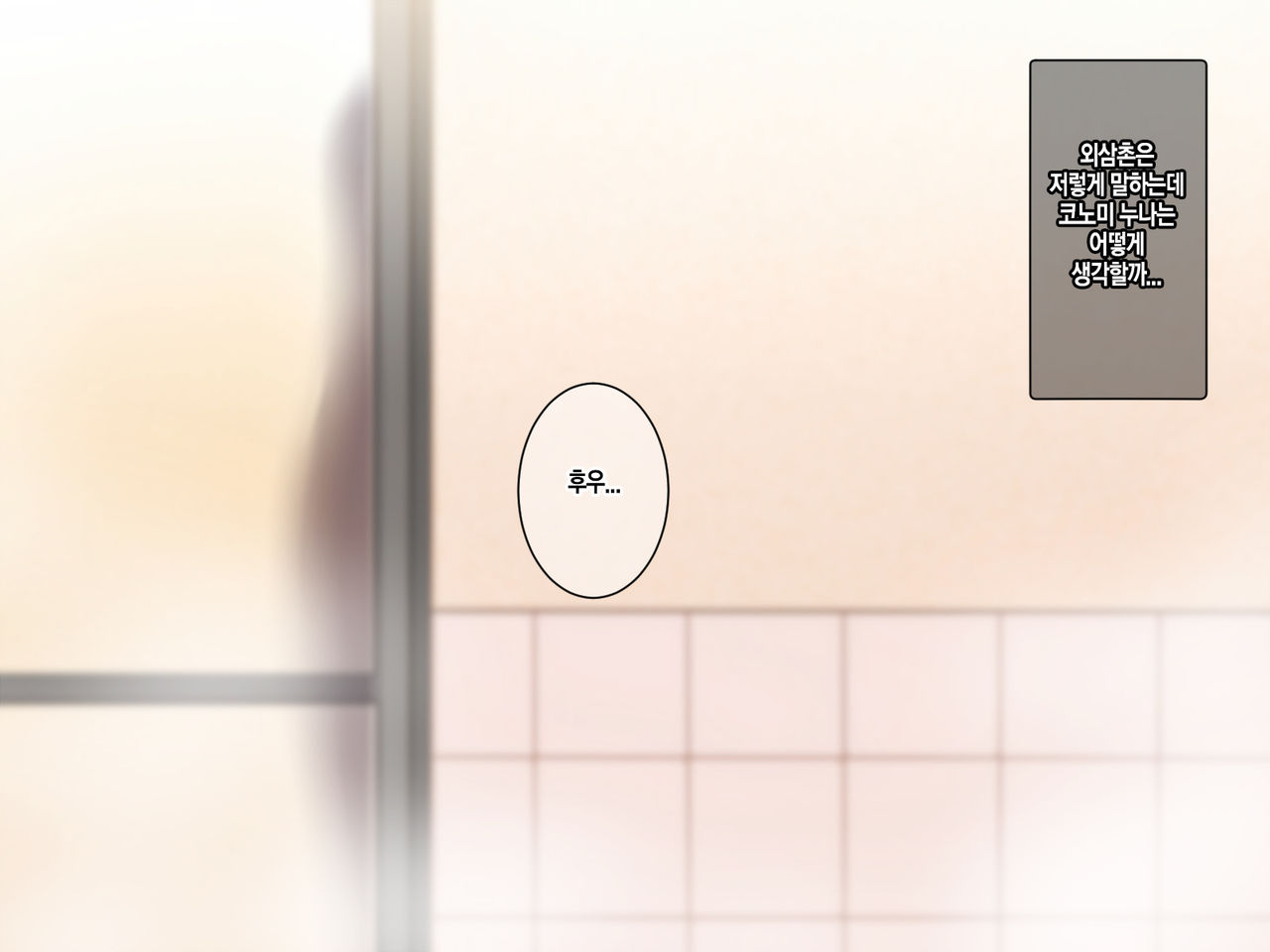 Satogaeri de Saikai Shita Itoko no Onee-chan to Kozukuri Shita Natsu | 고향에서 재회한 사촌누나와 아이를 만들었던 여름 page 10 full