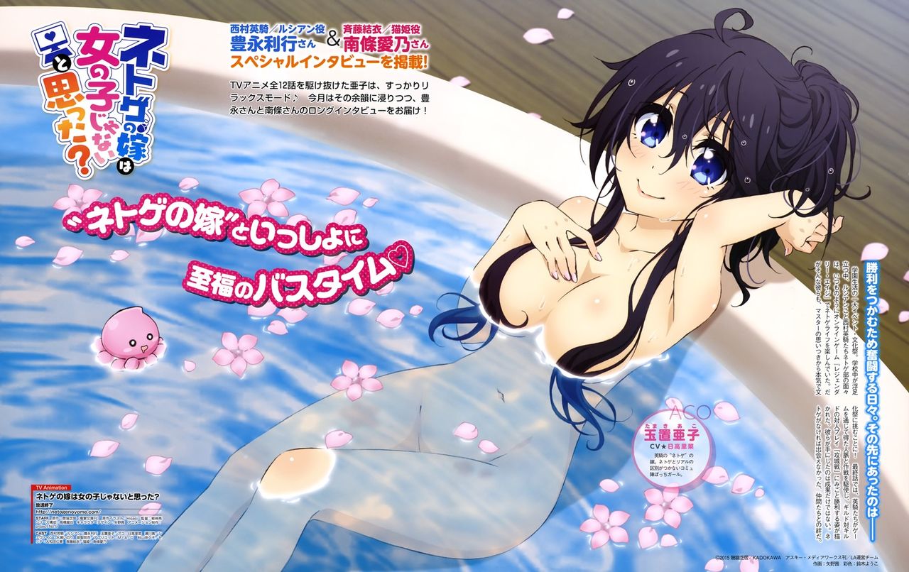 Netoge anime page 4 full