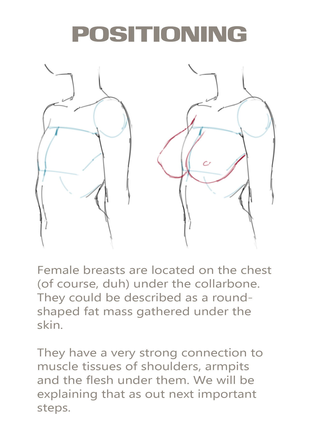 Basic Guideline to Boobs page 5 full
