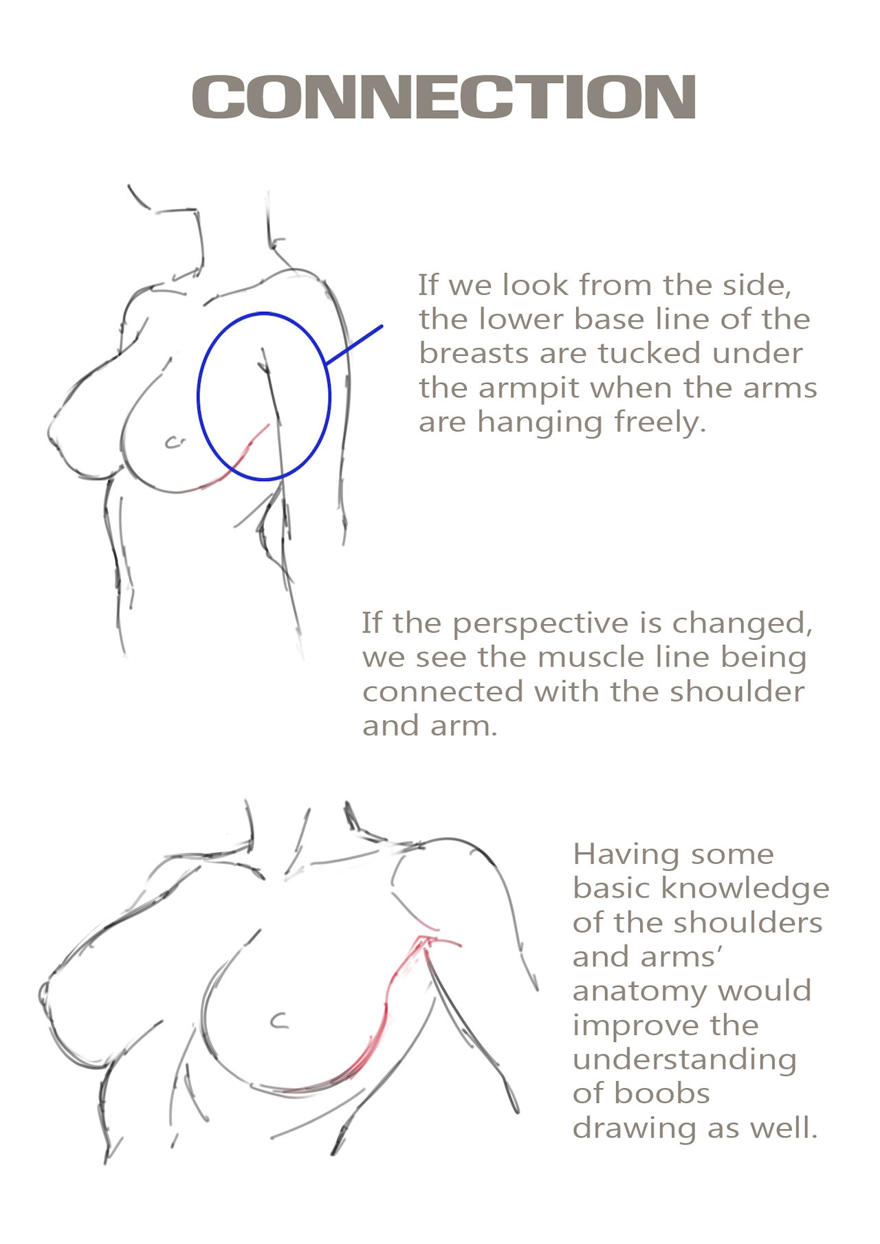 Basic Guideline to Boobs page 7 full