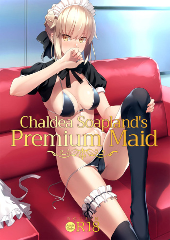 Chaldea Soap SSS-kyuu Gohoushi Maid | Chaldea Soapland's Premium Maid cover