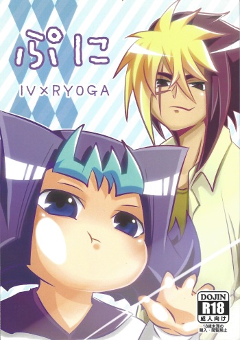 Puni cover