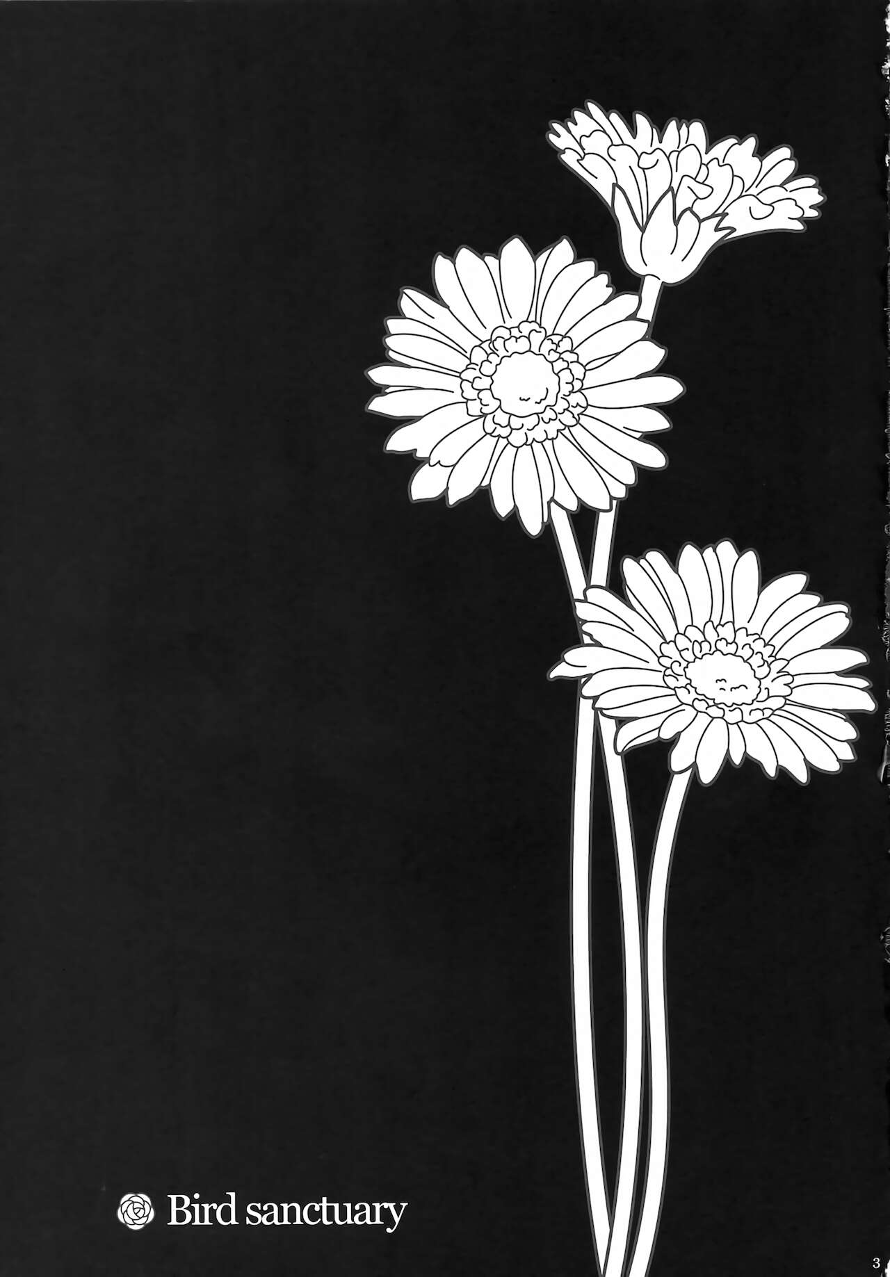 bird sanctuary page 2 full