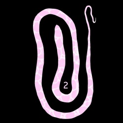 Sea snake