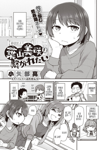 Hayama Misaki wa Tsunagaretai cover