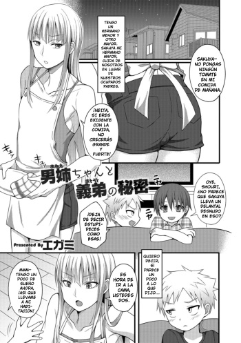Onee-chan to Otouto no Himitsu cover