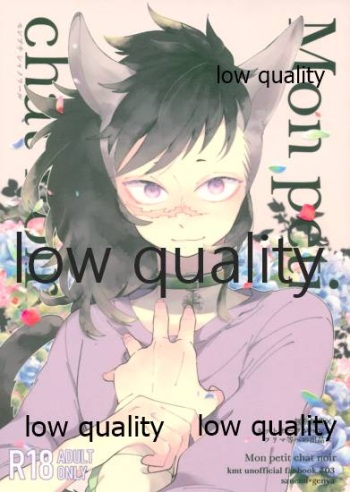 Mon petit chat noir cover