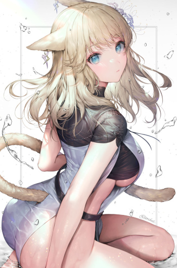 煎茶 cover