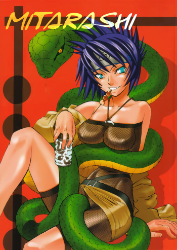 Mitarashi cover