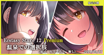 Ecstasy Stage 12 Premium Onsen de no Sentakushi cover