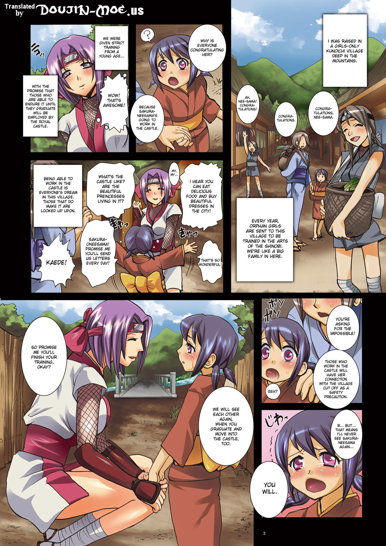 Onna NikuRin ~Kunoichi Kakuchou Haramase Sousaku Manga~ | Forest of Female Flesh - Kunoichi Impregnation page 3 full