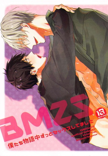 BMZS cover