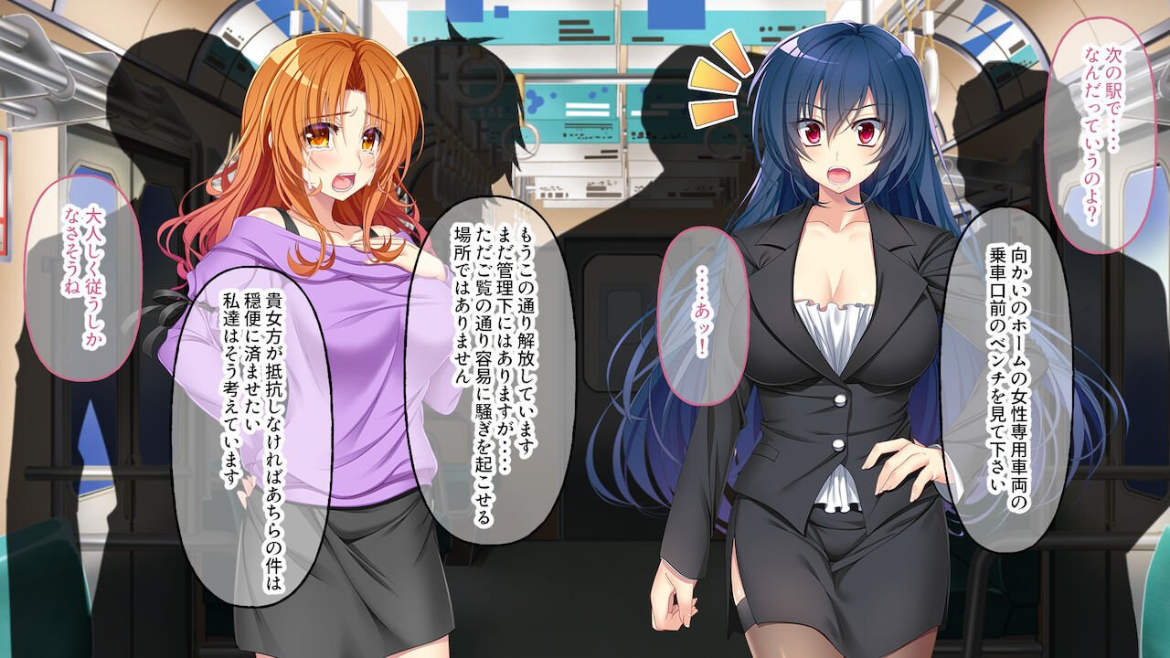 逃げ場なし!密室痴漢電車 ～ガン堀り洗脳調教～ page 4 full