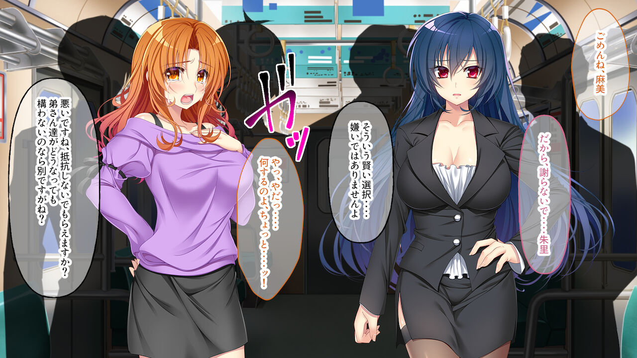 逃げ場なし!密室痴漢電車 ～ガン堀り洗脳調教～ page 5 full