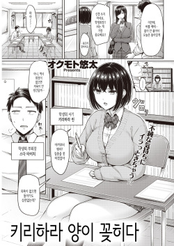 Kirihara-san ga Sasaru│키리하라 양이 꽂히다