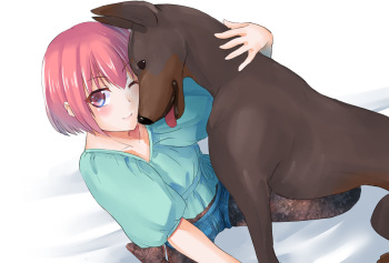 Sanayo-san to Inu cover