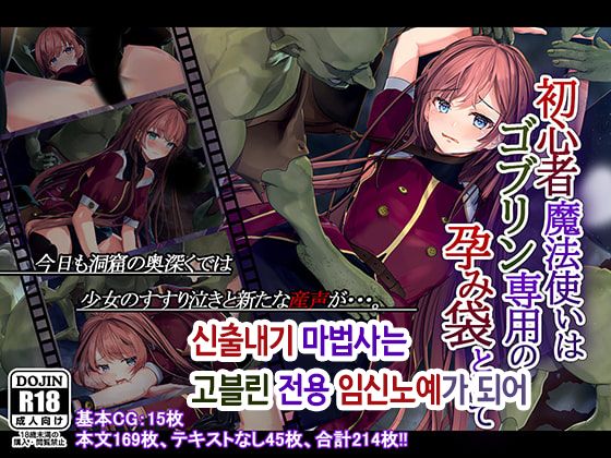 Shoshinsha Mahoutsukai wa Goblin Senyou no Haramibukuro to Shite page 1 full