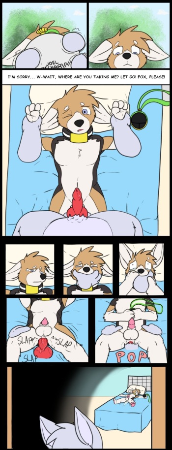 Housepets! One-pagers cover