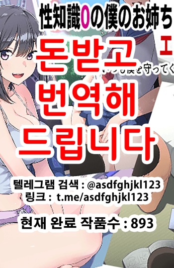 Seichishiki 0 no Boku no Onee-chan wa Erogaki-tachi no Seieki Benjo Itsumo Boku o Mamotte Kureru Daisukina Onee-chan ga… | 성지식 제로인 우리 누나는 에로꼬맹이들의 정액변기 언제나 나를 지켜주었던 소중한 누나가… cover