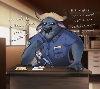 Judy N' Bogo cover