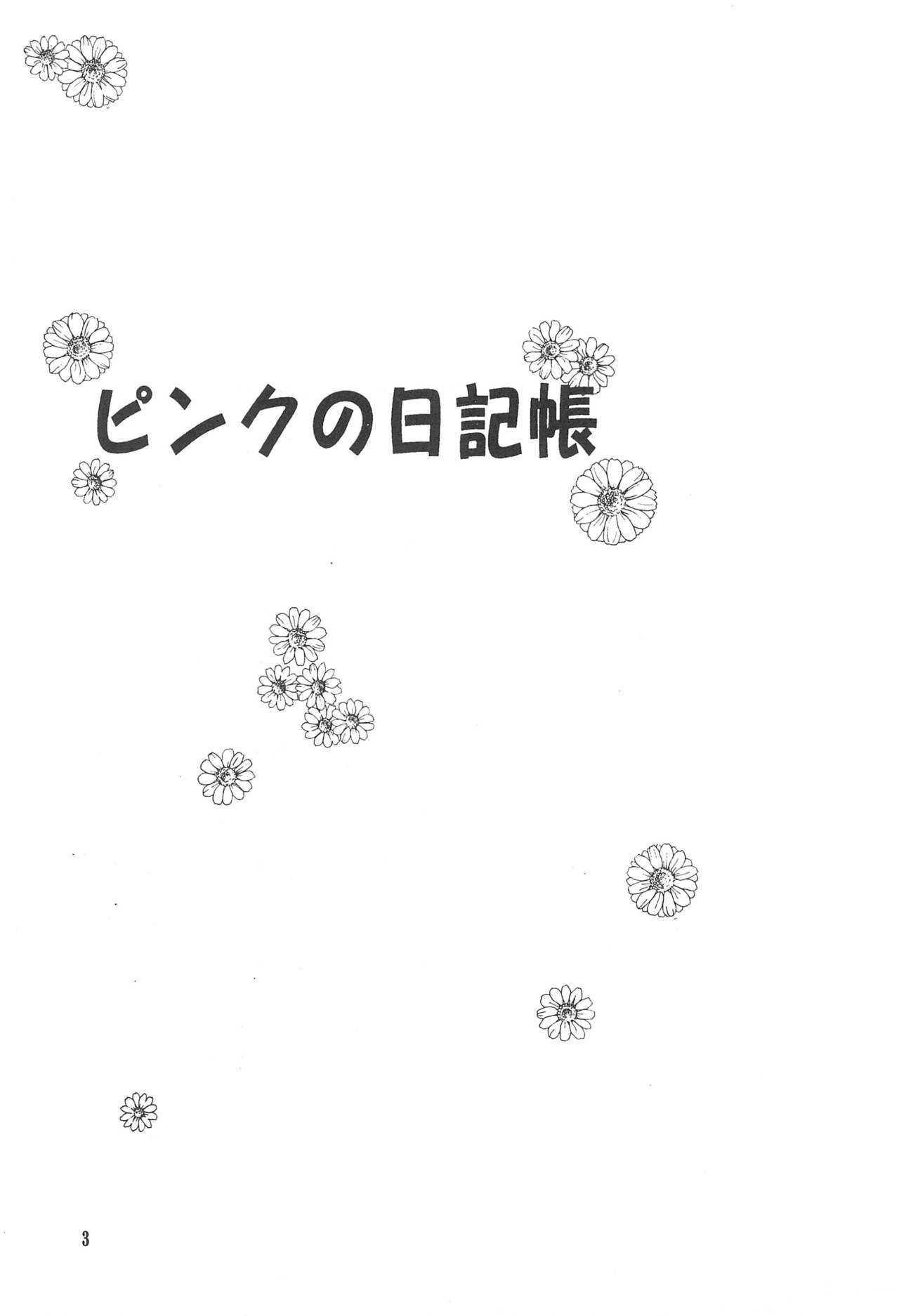 Pink no Nikkichou page 3 full