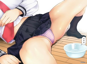 pixiv はぶらえる cover