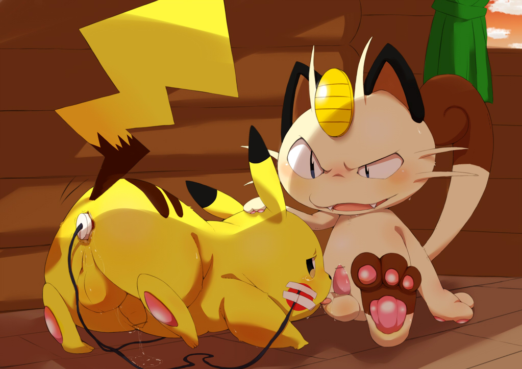 Pikachu Evolutions collection page 4 full