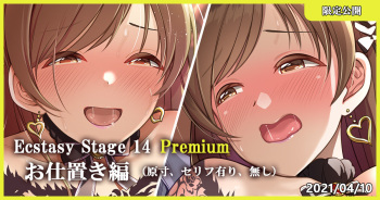 Ecstasy Stage 14 Premium Oshioki Hen cover