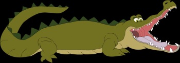 Tick tock croc cover