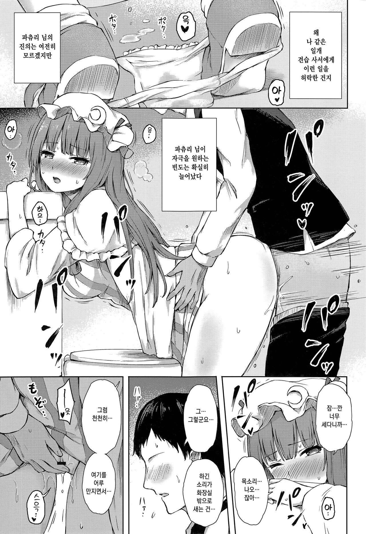 Patchouli Knowledge Kaihatsu Kiroku Ⅱ | 파츄리 널릿지의 쾌발기록 Ⅱ page 4 full