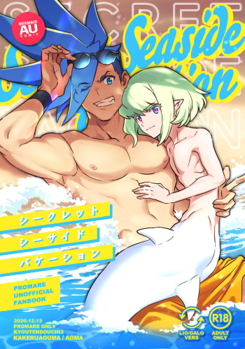 シークレット シーサイド バケーション cover