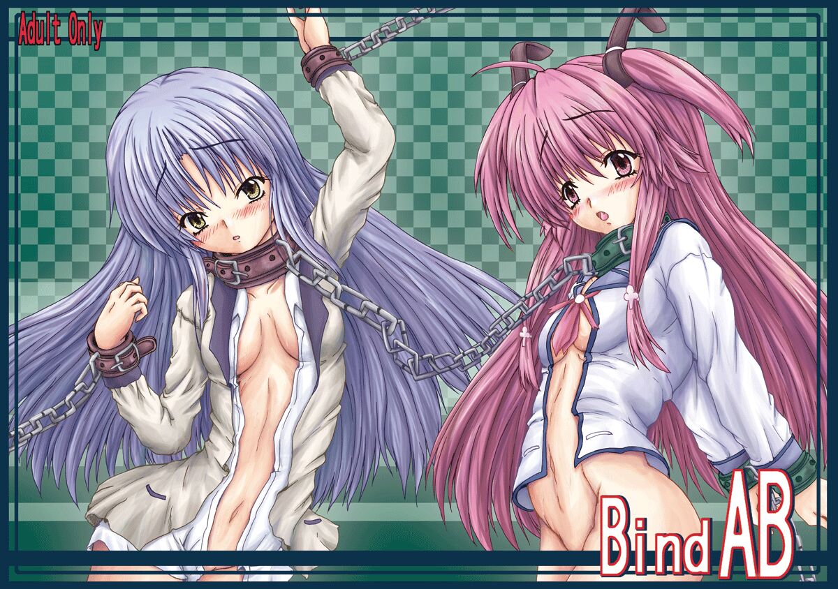 Bind AB page 2 full