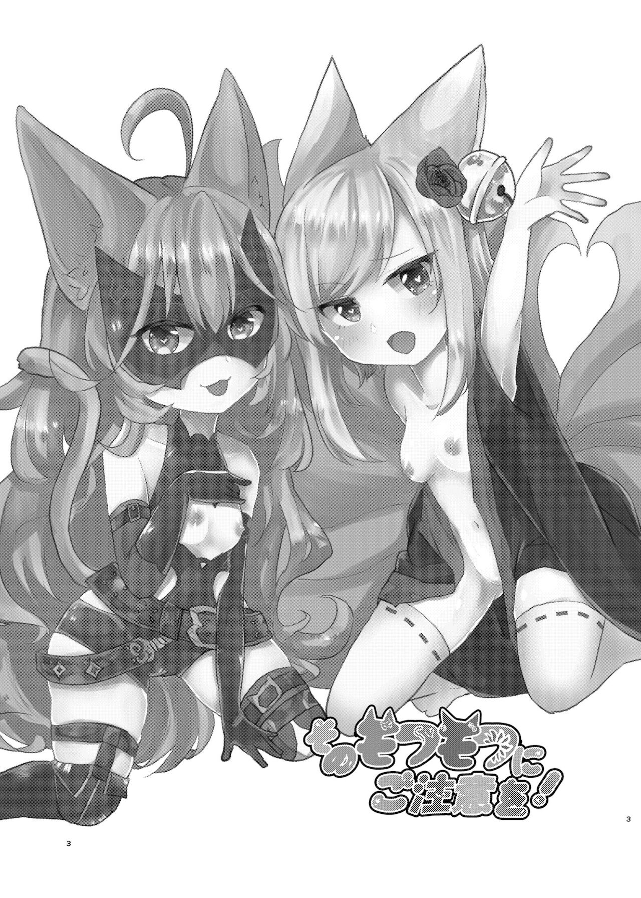 Sono Mofumofu ni Gochuui o! page 3 full