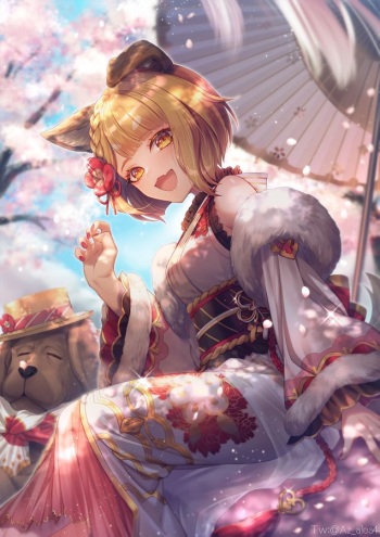 Beautiful Erune Gallery 2 cover
