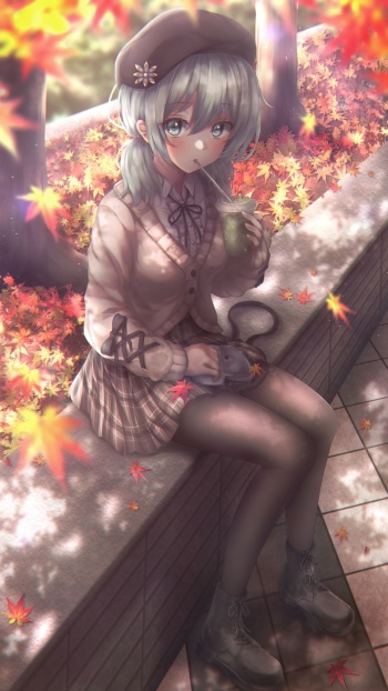 Absent cover