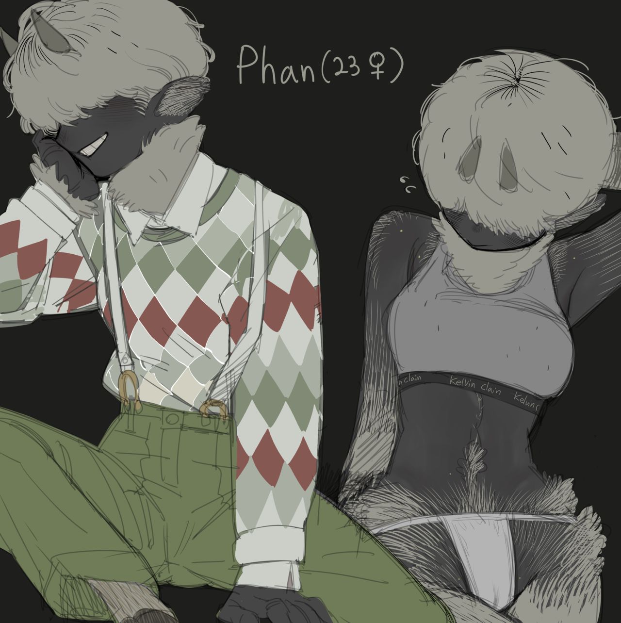 Phan page 5 full