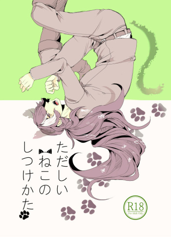 Tadashii ne Kono Shitsuke Kata cover