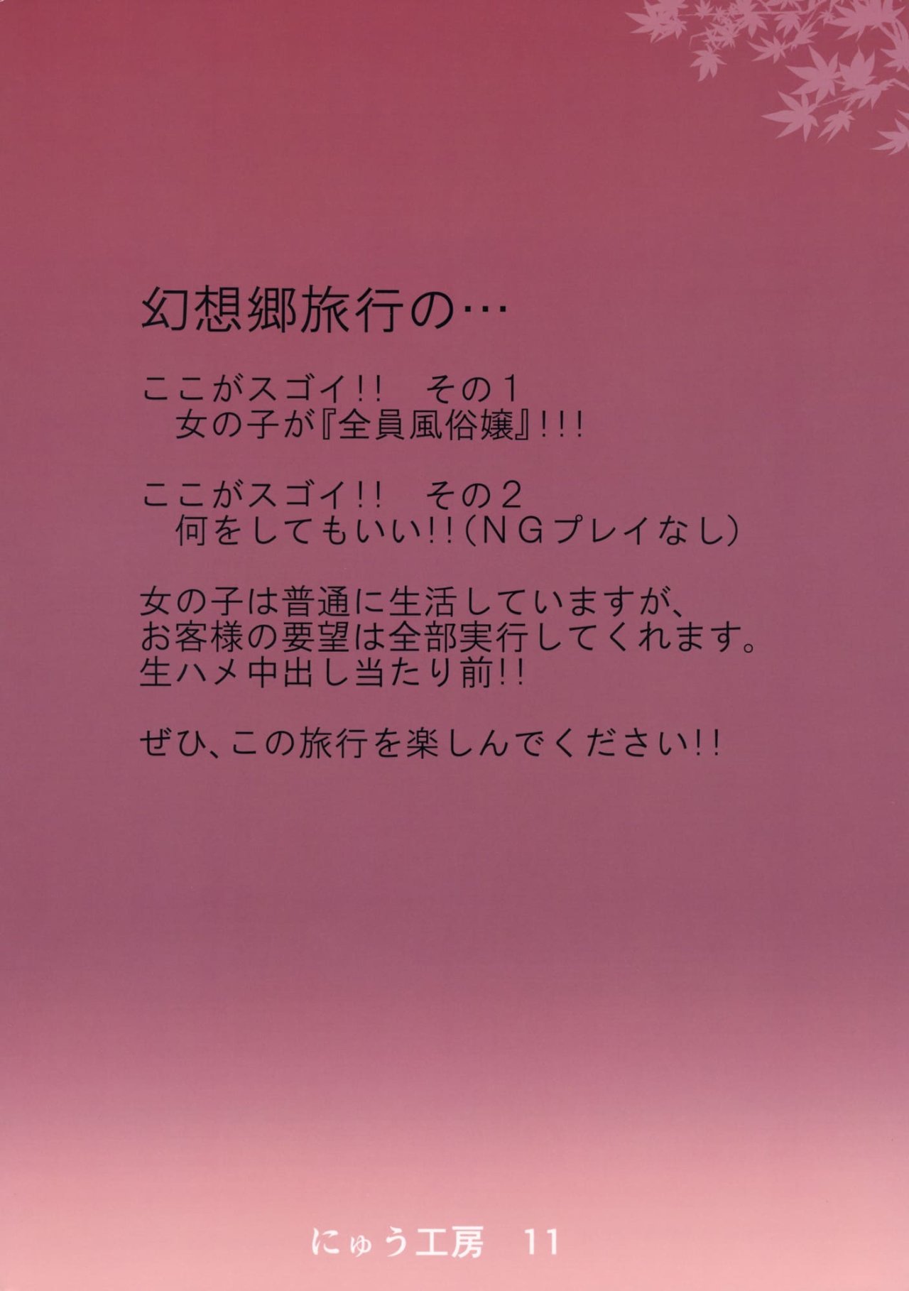 Oidemase!! Jiyuu Fuuzoku Gensoukyou 2-haku 3-kka no Tabi - Kou page 3 full