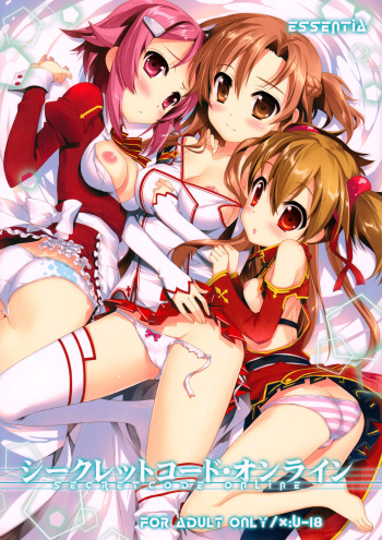 Secret Code Online cover