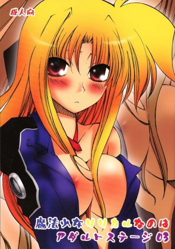 Mahou Shoujo Lyrical Nanoha Adult Stage 03 cover