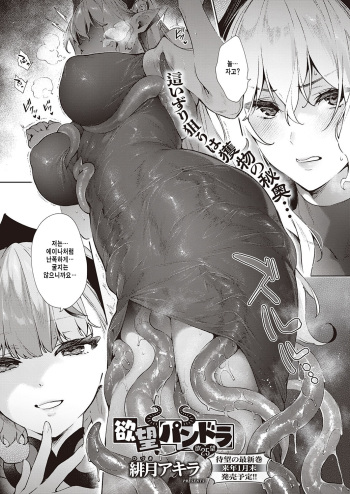 Yokubou Pandora 25 cover