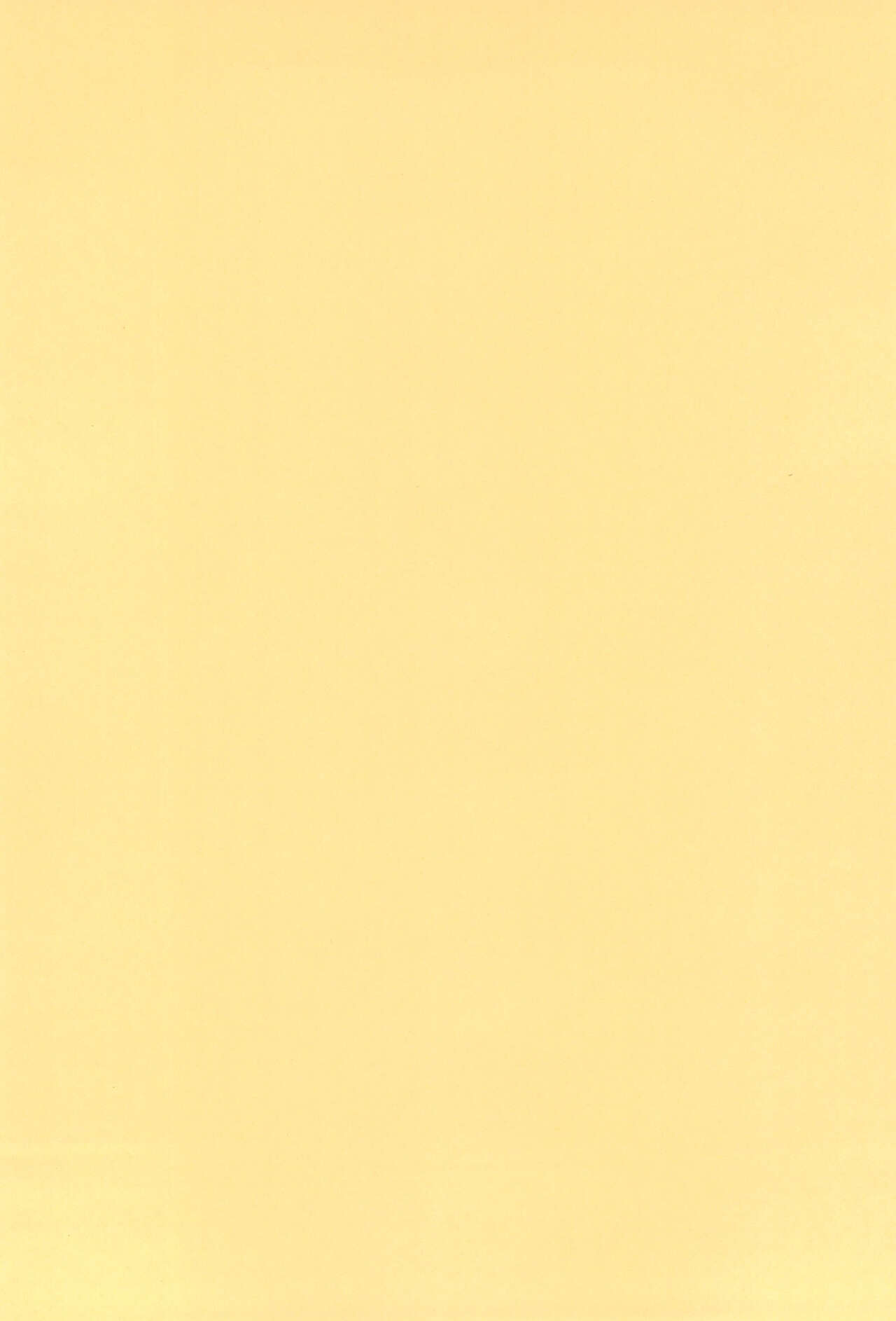 quarterly LIBIDO VOL.2 page 4 full