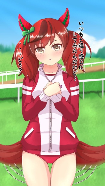 pixiv サロンP cover